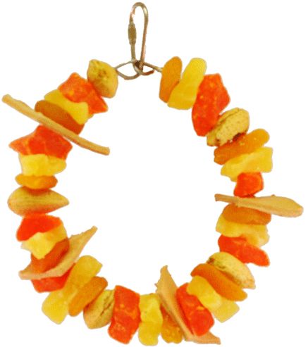AE Cage Company Happy Beaks Mixed Fruit Ring Tropical Delight image 0