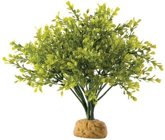 Exo Terra Boxwood Bush Terrarium Plant image 0