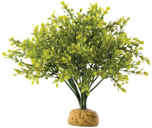 Exo Terra Boxwood Bush Terrarium Plant image 0