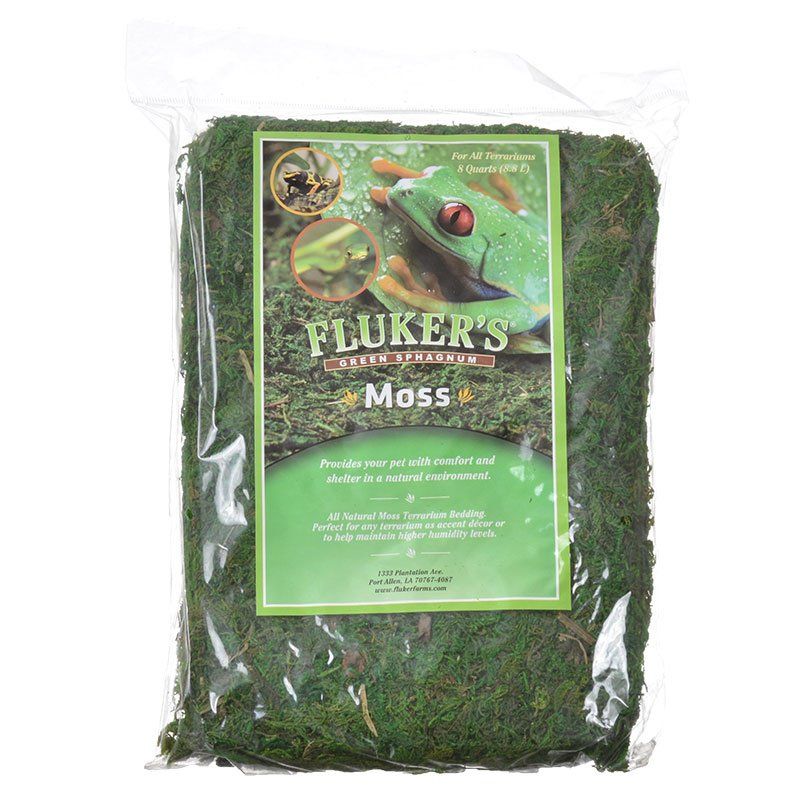 Fluker's Green Sphagnum Moss image 0