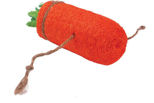 AE Cage Company Nibbles Carrot Loofah Chew Toy Large image 0