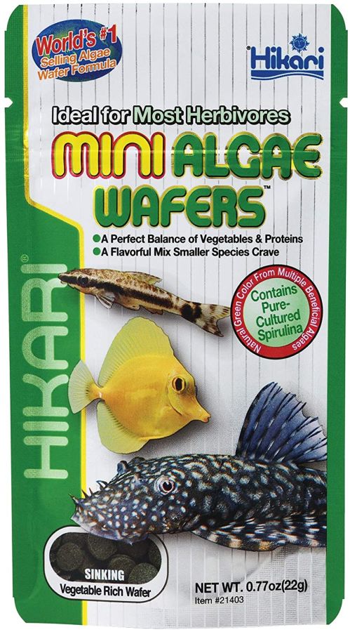 Hikari Mini Algae Wafers image 0