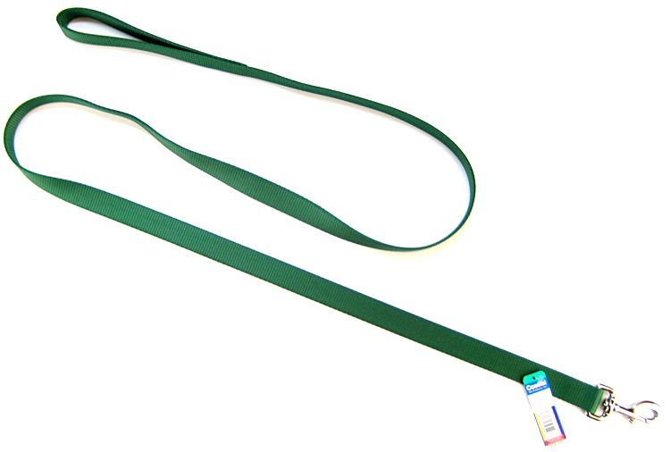 Coastal Pet Single Nylon Lead - Hunter Green image 0