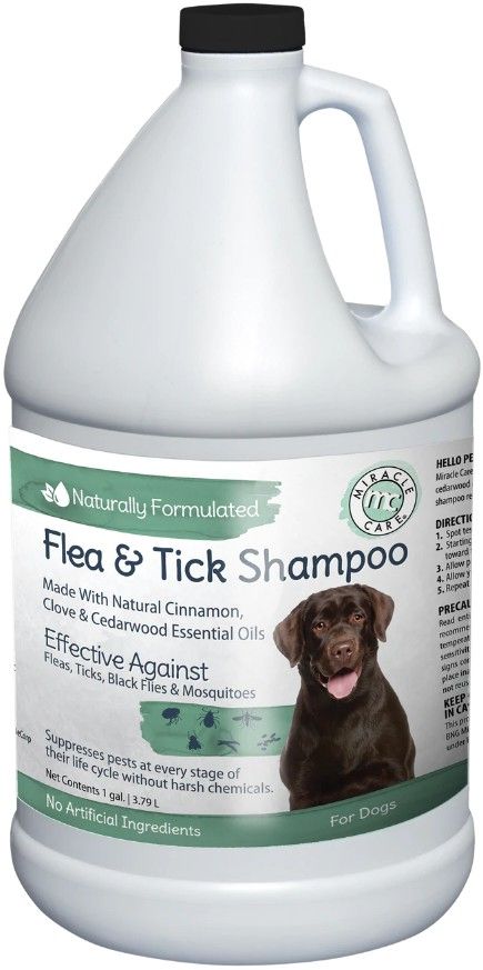 Miracle Care Natural Flea & Tick Shampoo for Dogs image 0