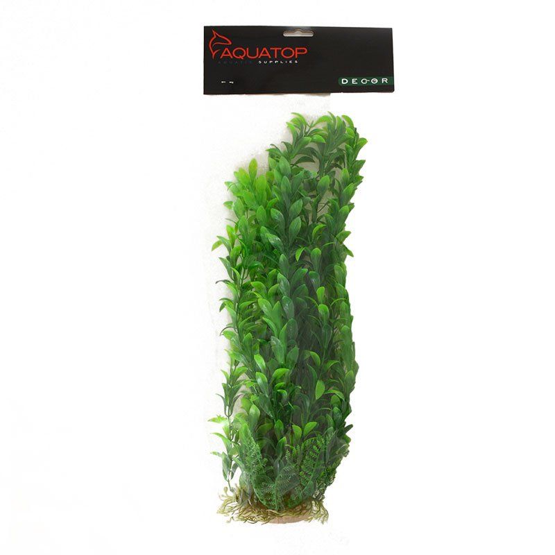 Aquatop Anacharis Aquarium Plant - Green image 0