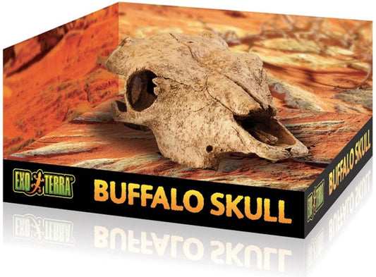 Exo Terra Terrarium Buffalo Skull Decoration image 0