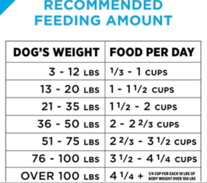 Purina Pro Plan Focus Sensitive Skin & Stomach Formula Salmon & Rice - 16lb Bag image 4