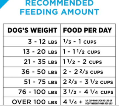 Purina Pro Plan Focus Sensitive Skin & Stomach Formula Salmon & Rice - 16lb Bag image 4