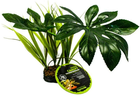 Komodo Jungle Canopy Terrarium Plant image 0