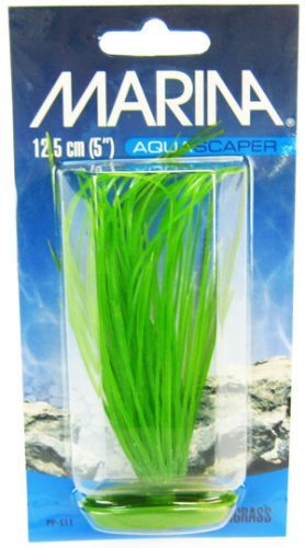 Marina Hairgrass Plant image 0