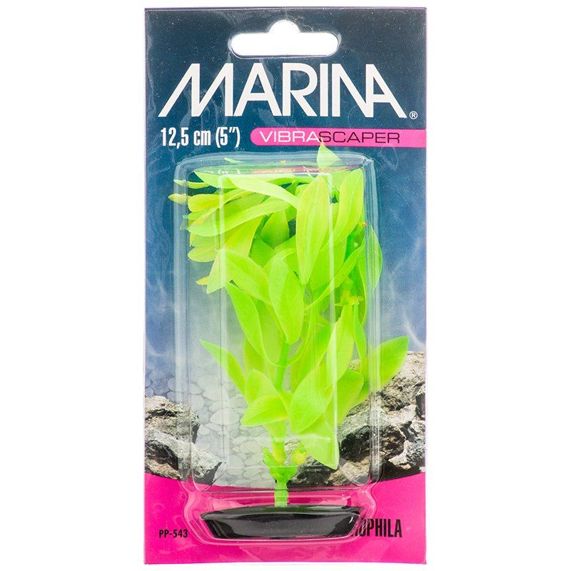 Marina Vibrascaper Hygrophilia Plant - Green DayGlo image 0