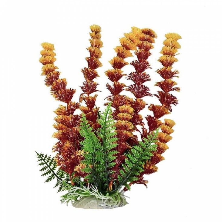 Aquatop Cabomba Aquarium Plant - Fire image 0