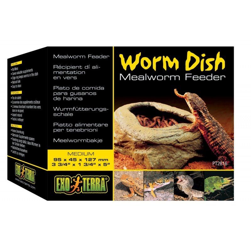 Exo-Terra Worm Dish image 0