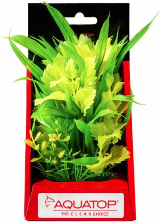 Aquatop Vibrant Passion Aquarium Plant Yellow image 0