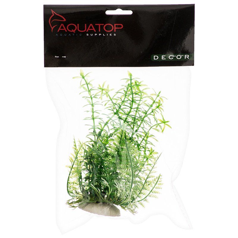 Aquatop Anacharis Aquarium Plant - Green image 0