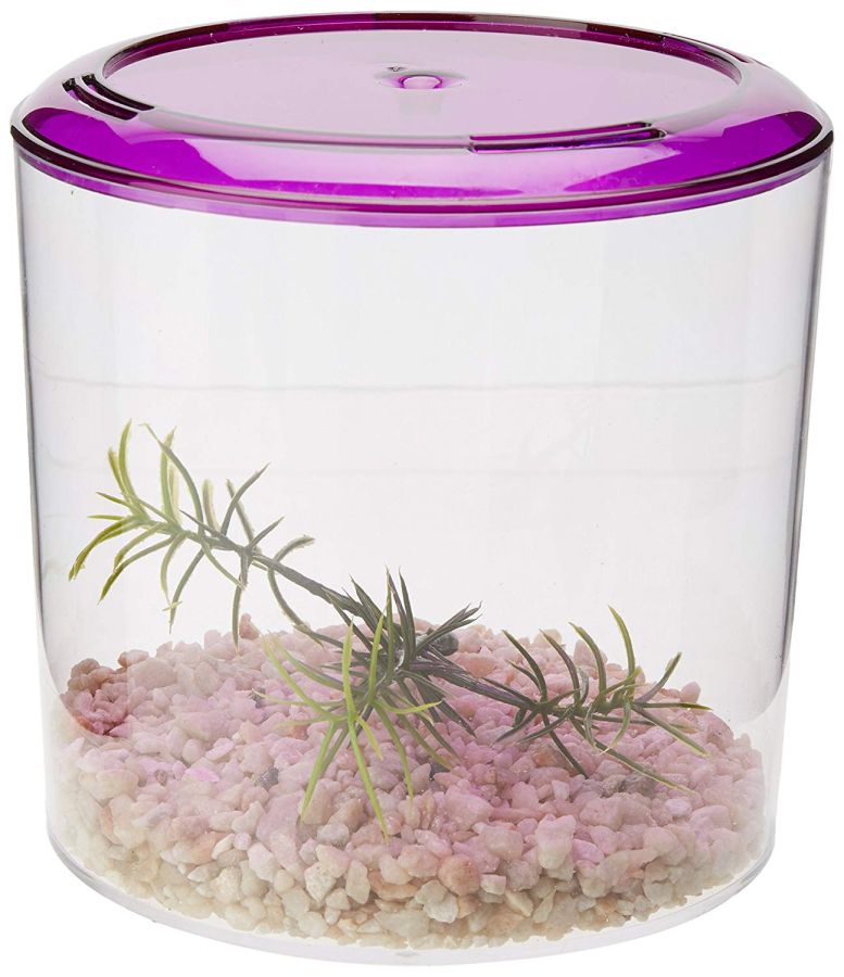 Lee's Betta Keeper Round Aquarium Kit image 0