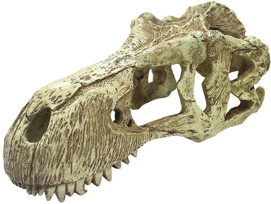 Komodo T-Rex Skull Terrarium Decoration image 0