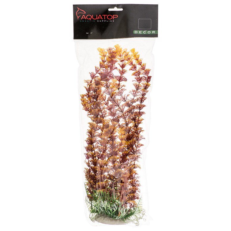 Aquatop Cabomba Aquarium Plant - Fire image 0