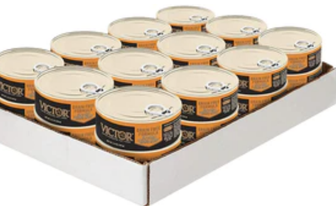 Victor Feline Shredded Chicken in Gravy Canned Cat Food - 5.5 oz - Case of 24 image 0