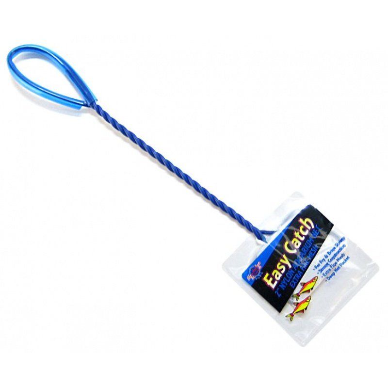 Blue Ribbon Easy Catch Fine Mesh Brine Fish Net image 0