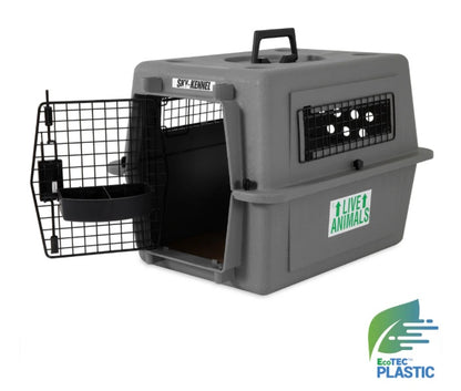 Petmate Essential New Dog Bundle image 1