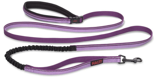 Company of Animals Halti All In One Lead for Dogs Purple image 0