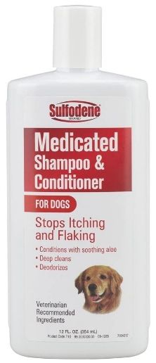 Sulfodene Medicated Shampoo image 0