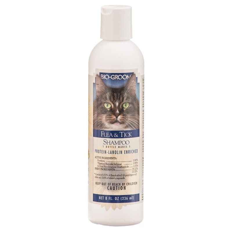 Bio Groom Flea & Tick Shampoo for Cats image 0
