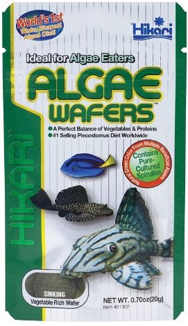 Hikari Algae Wafers image 0