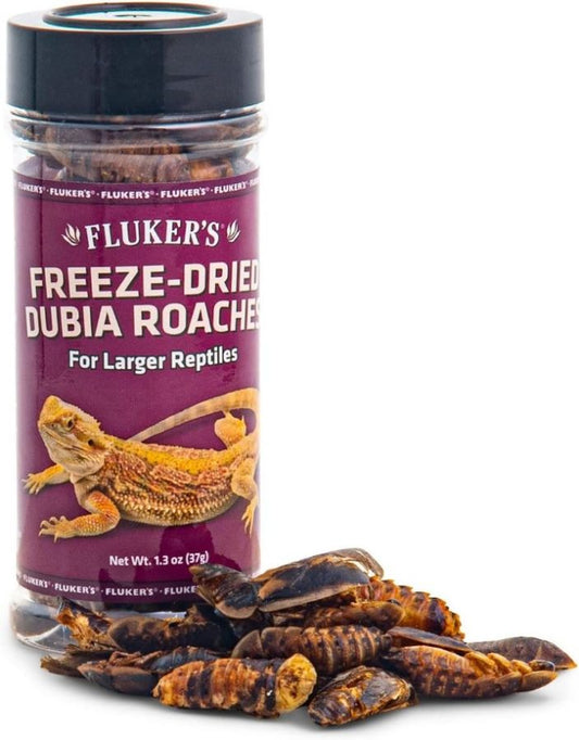 Flukers Freeze Dried Dubia Roaches for Reptiles image 0