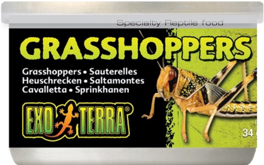 Exo-Terra Grasshoppers Reptile Food image 0