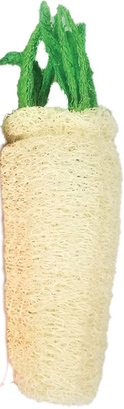 AE Cage Company Nibbles Daikon Loofah Chew Toy Large image 0