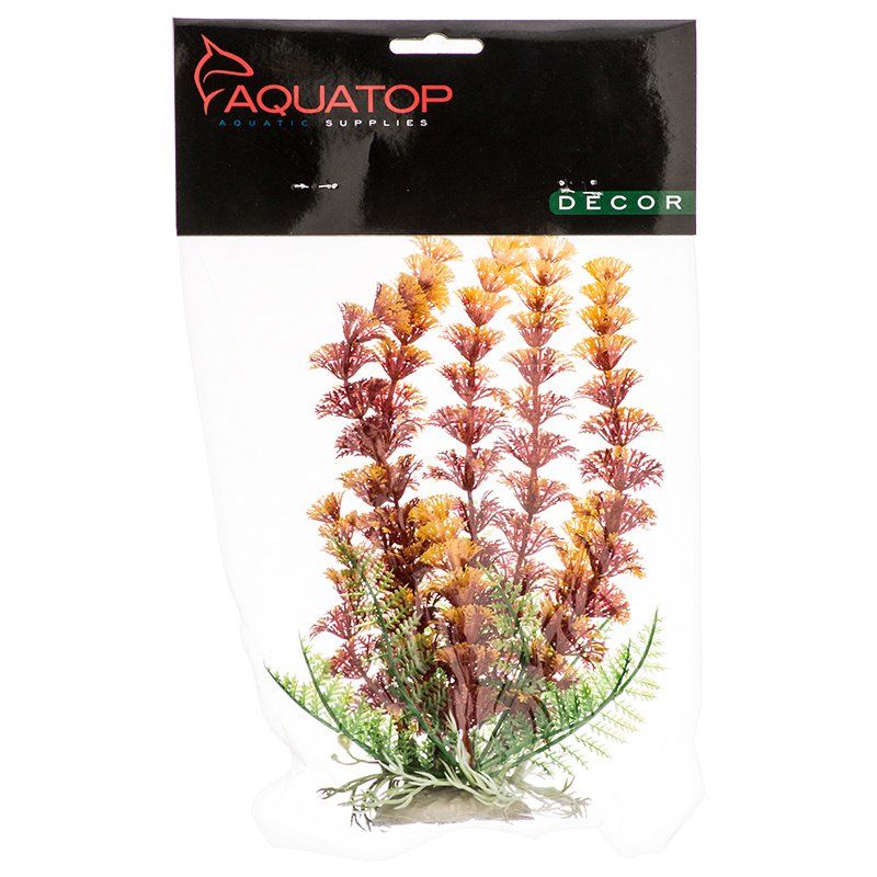 Aquatop Cabomba Aquarium Plant - Fire image 0