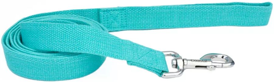 Coastal Pet New Earth Soy Dog Lead Mint Green image 0