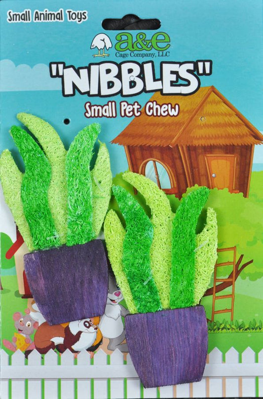 AE Cage Company Nibbles Potted Plants Loofah Chew Toy image 0