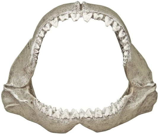 Blue Ribbon Great White Shark Jaws Ornament image 0