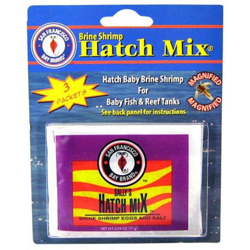 SF Bay Brands Brine Shrimp Hatch Kit image 0