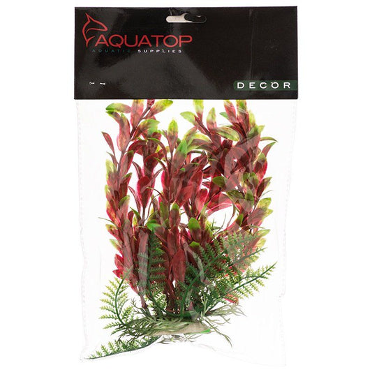 Aquatop Hygro Aquarium Plant - Red & Green image 0