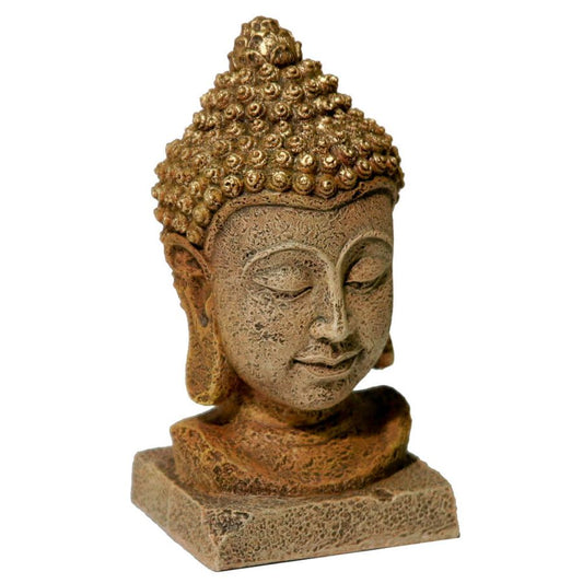 Blue Ribbon Exotic Environments Thai Buddha Head image 0