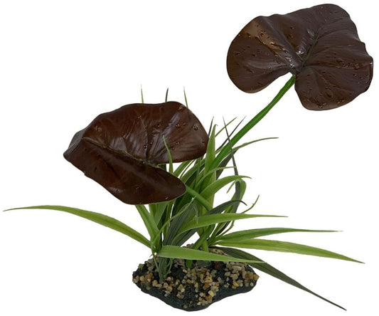 Komodo Rainforest Canopy Terrarium Plant image 0