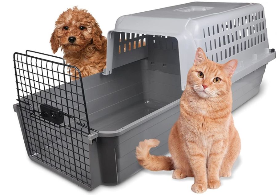 Van Ness Calm Carrier with Easy Drawer image 0