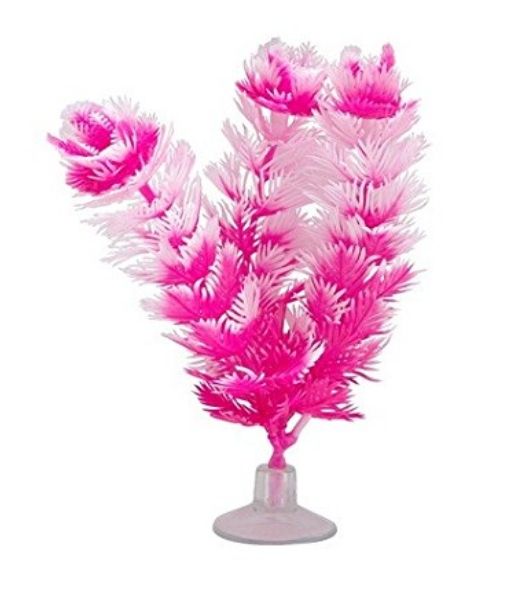 Marina Betta Foxtail Hot Pink/White Plastic Plant image 0