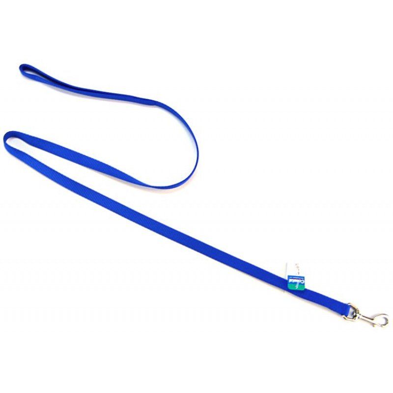 Coastal Pet Nylon Lead - Blue image 0