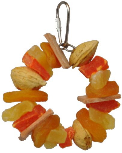 AE Cage Company Happy Beaks Fruit and Nut Ring Jr Tropical Delight image 0