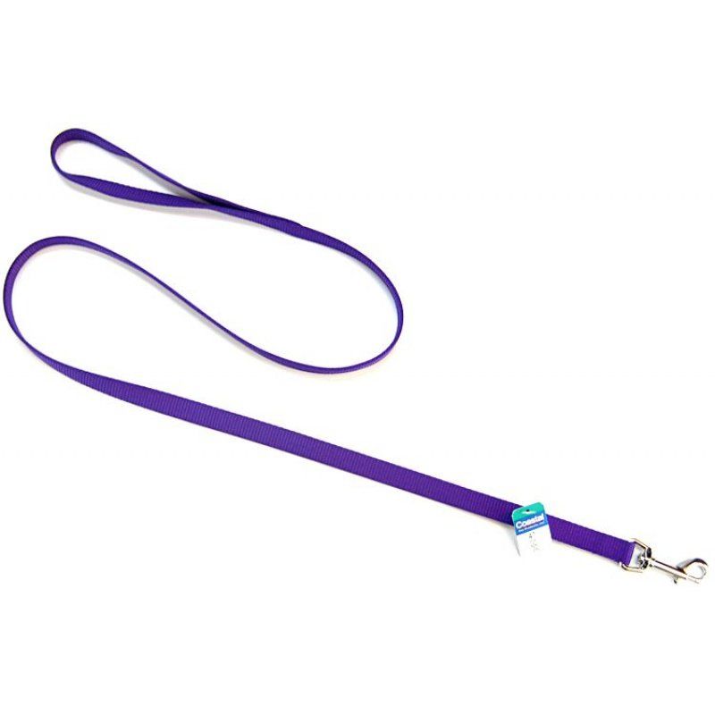 Coastal Pet Nylon Lead - Purple image 0