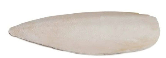 Prevue Cuttlebone Birdie Basics Large 6" Long image 0