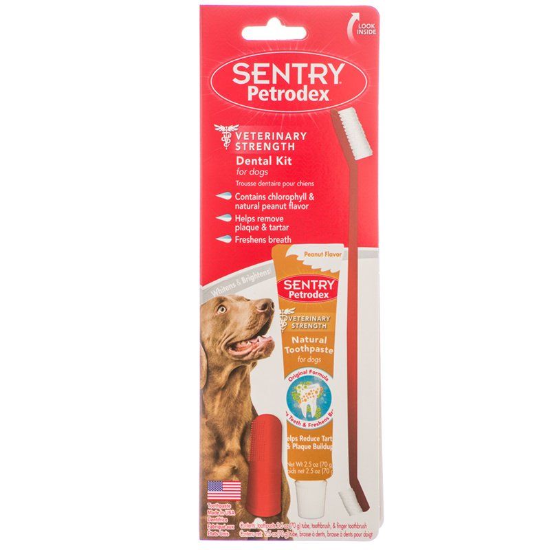 Petrodex Dental Kit for Dogs - Peanut Butter Flavor image 0