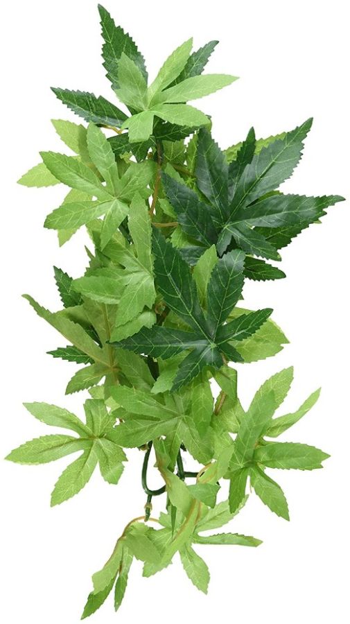 Exo-Terra Silk Abuliton Forest Plant image 0