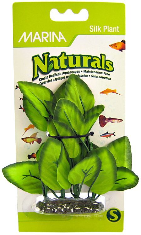 Marina Silk Foreground Aquarium Plant - Green image 0
