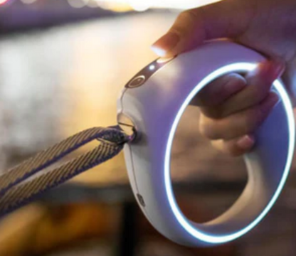 PETKIT ® 'GO' Bluetooth Route and Distance Tracking Smart Dog Leash image 6